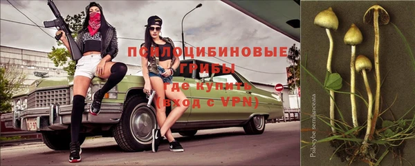 mdpv Вяземский