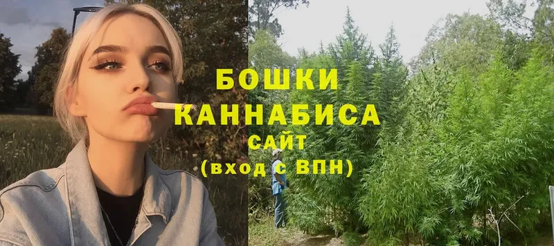 Канабис Amnesia  где купить наркоту  Оса 